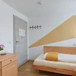 Freiheit פפרונטן